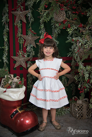 Navidad 2017-19