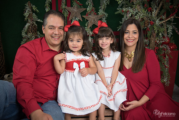 Navidad 2017-129