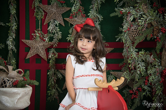 Navidad 2017-262
