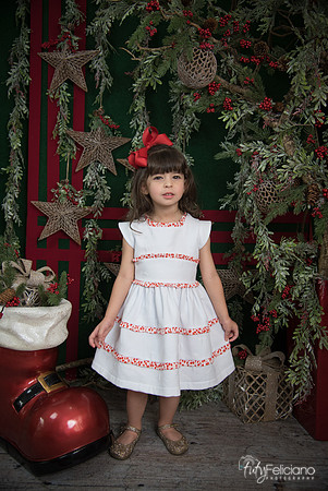 Navidad 2017-28