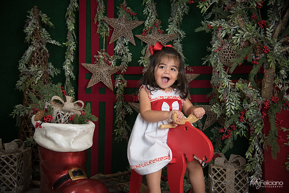 Navidad 2017-295