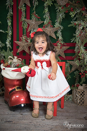 Navidad 2017-169