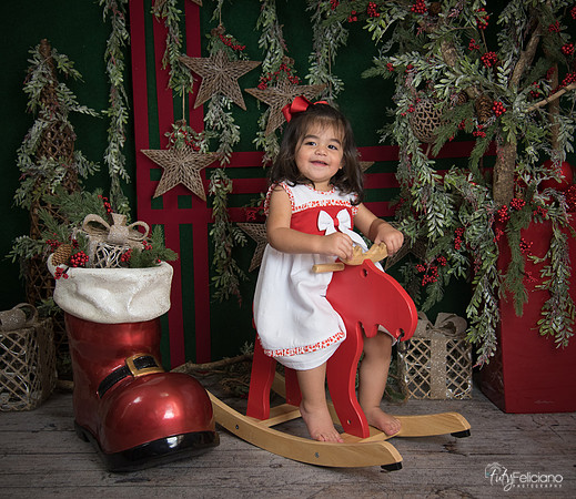 Navidad 2017-289