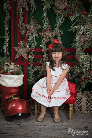 Navidad 2017-234