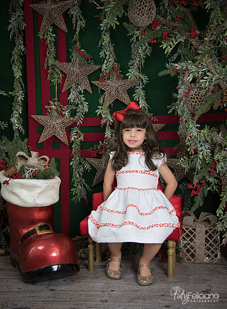 Navidad 2017-253