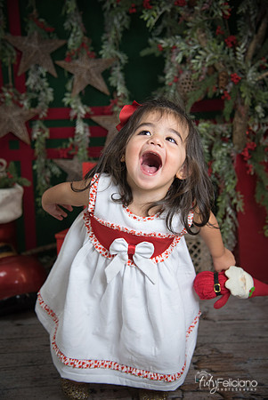 Navidad 2017-176