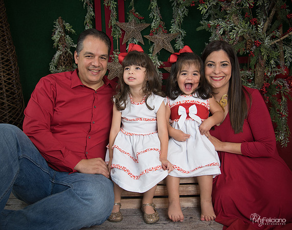 Navidad 2017-111