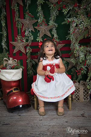 Navidad 2017-189