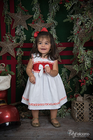 Navidad 2017-179