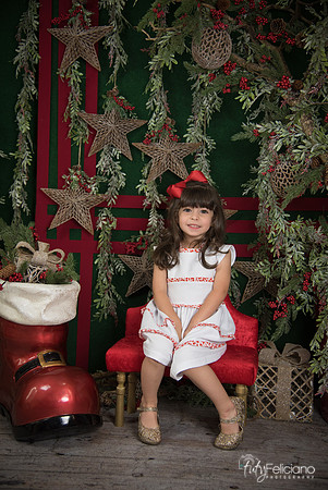 Navidad 2017-236