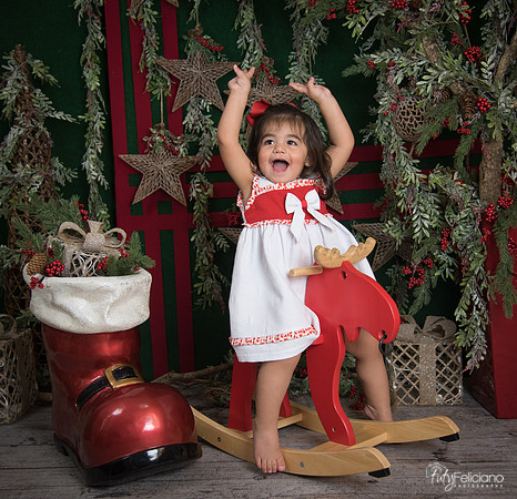 Navidad 2017-301