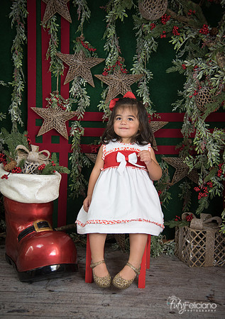 Navidad 2017-147