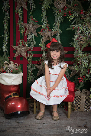 Navidad 2017-233