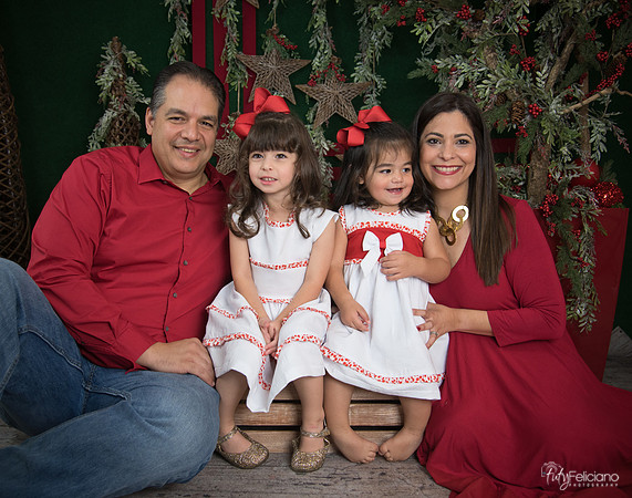 Navidad 2017-102