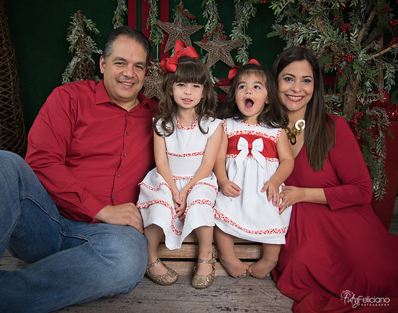 Navidad 2017-104