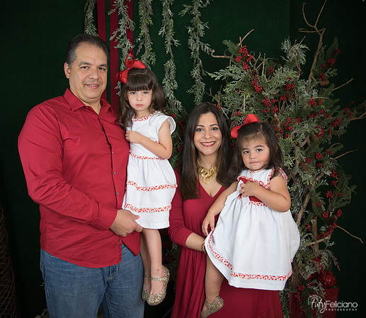 Navidad 2017-44