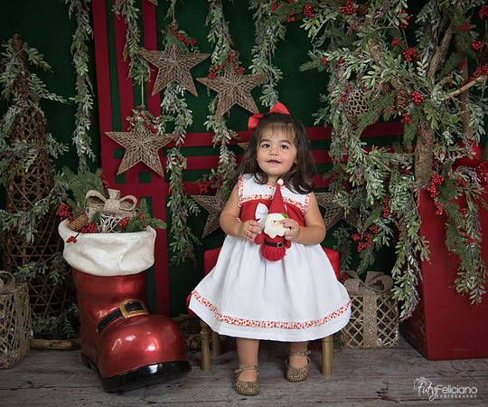 Navidad 2017-215