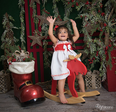 Navidad 2017-306