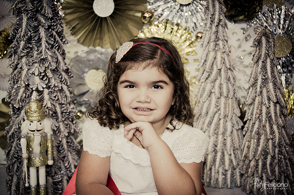 Navidad 2014-1360
