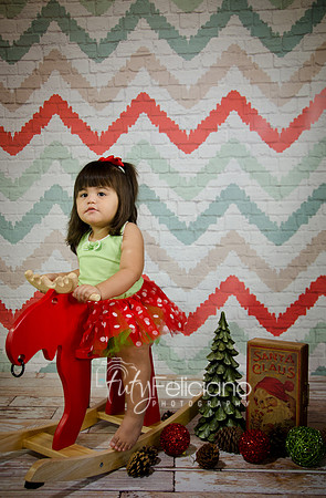 Shooting Navideno-879