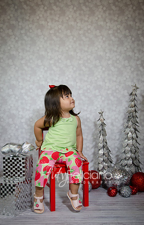 Shooting Navideno-648