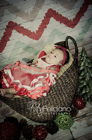 Shooting Navideno-576
