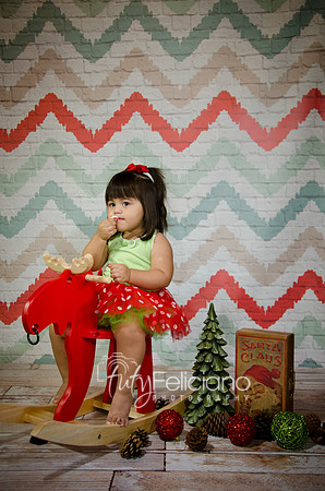 Shooting Navideno-898