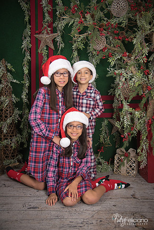 2017-Navidad-209