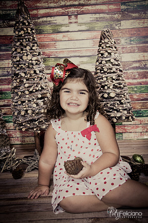 Navidad 2014-1083