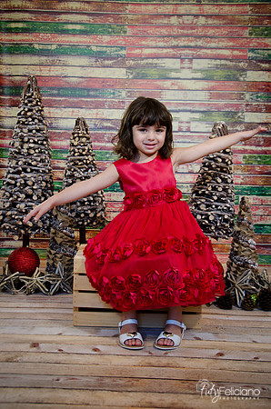Navidad2014-121574