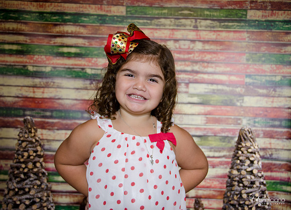 Navidad 2014-1207