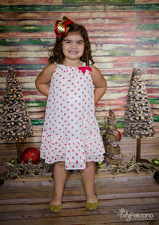 Navidad 2014-1181