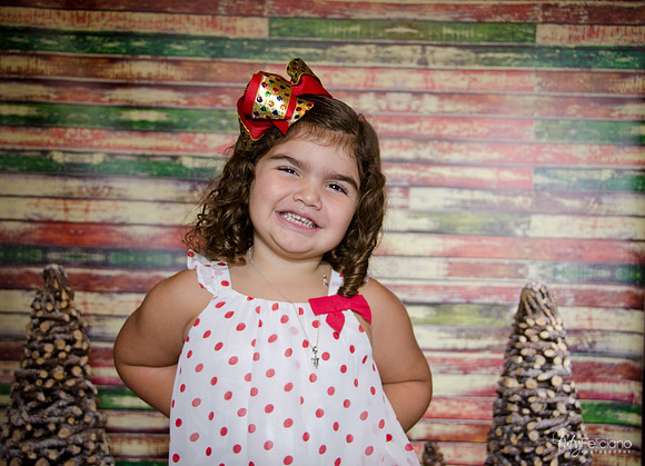 Navidad 2014-1210