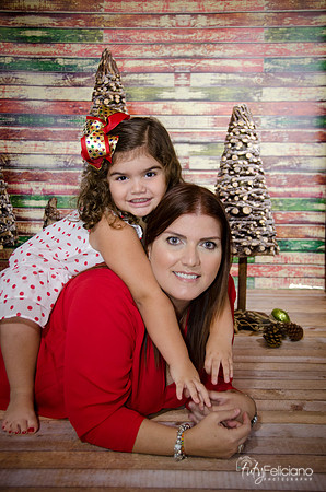 Navidad 2014-1285