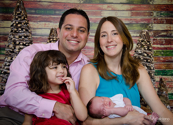 Navidad2014-121879