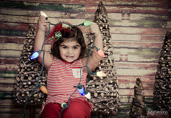 Navidad 2014-1579
