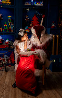 11 SME-3538