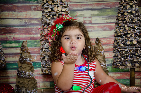 Navidad 2014-1614