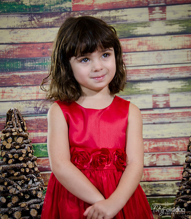 Navidad2014-121539