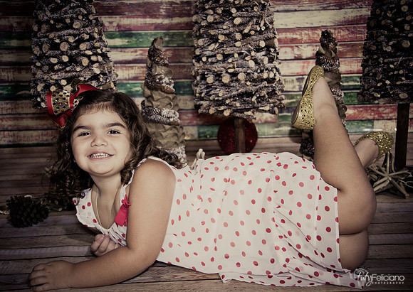 Navidad 2014-1099