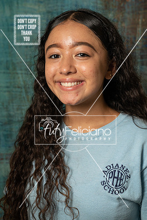Adianez 4-2753