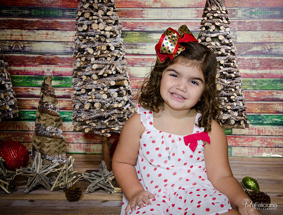 Navidad 2014-1089