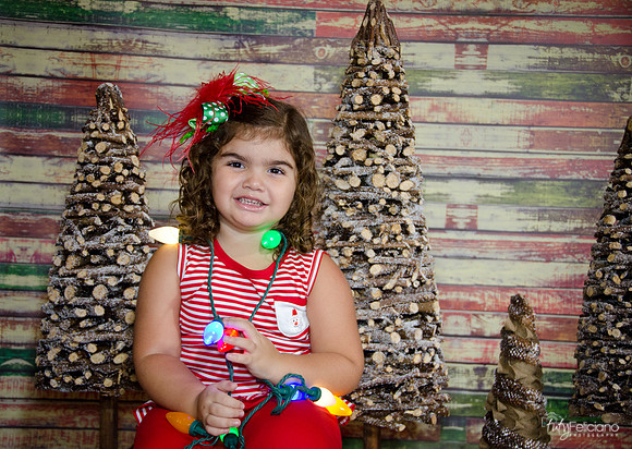 Navidad 2014-1583