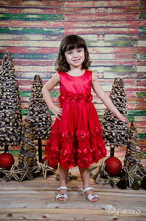 Navidad2014-121523