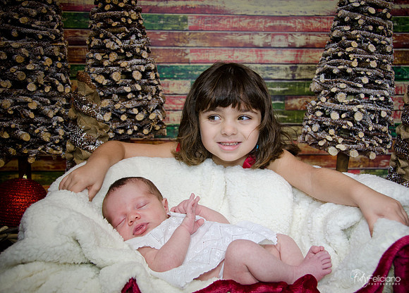 Navidad2014-121794