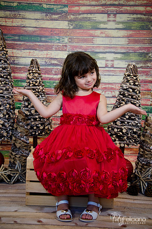 Navidad2014-121558