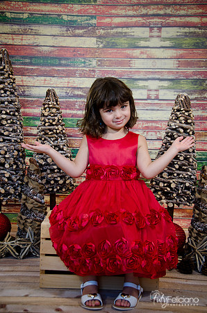 Navidad2014-121565