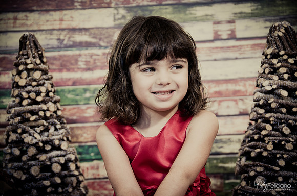 Navidad2014-121587