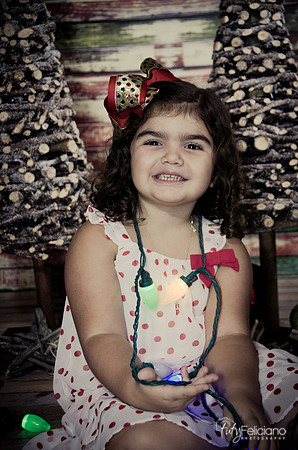 Navidad 2014-1062