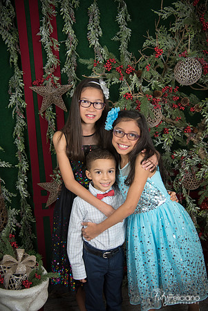 2017-Navidad-25